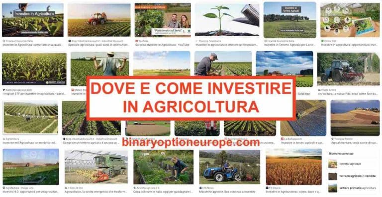 dove e come investire in agricoltura con successo